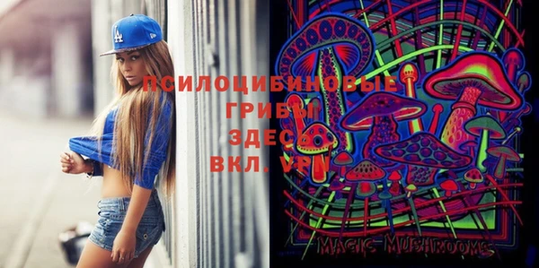 ПСИЛОЦИБИНОВЫЕ ГРИБЫ Абдулино