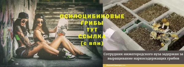 дурь Алексин