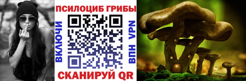 купить наркотики сайты  Приволжск  Псилоцибиновые грибы ЛСД 