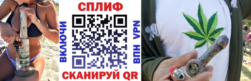 Бошки Шишки план  Приволжск 